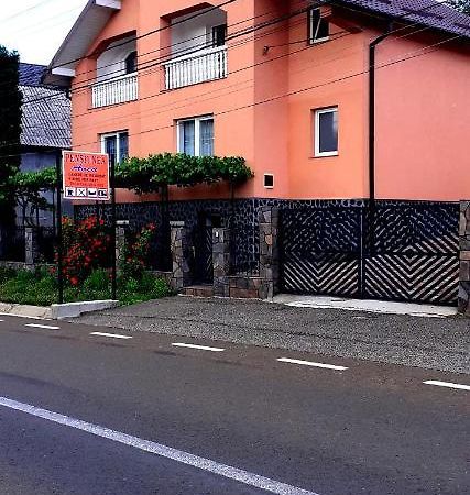 Pensiunea Anca Rona de Jos Dış mekan fotoğraf