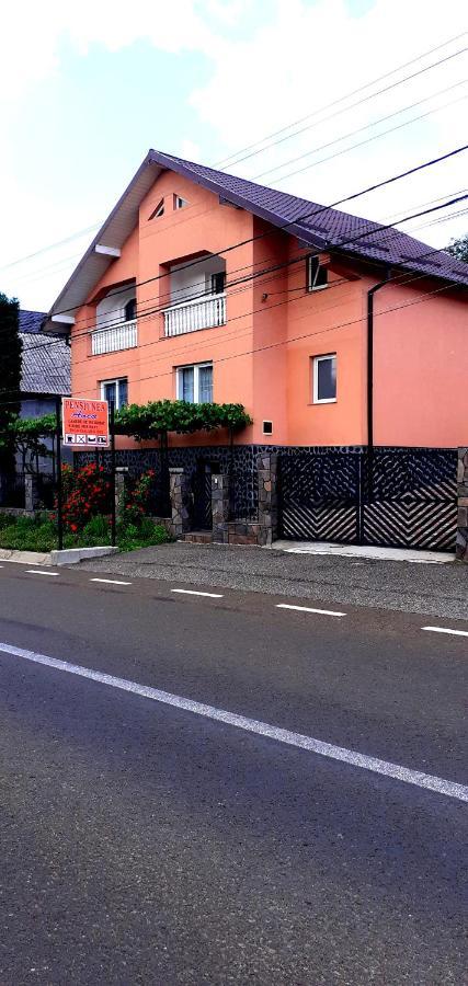 Pensiunea Anca Rona de Jos Dış mekan fotoğraf